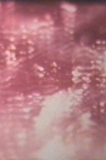 Movie poster for Desert in Sunlight (1969)