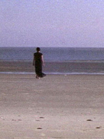 Movie poster for Post-Partum (2004)
