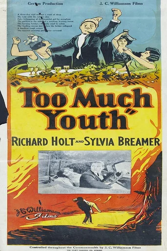 Movie poster for Too Much Youth (1925)