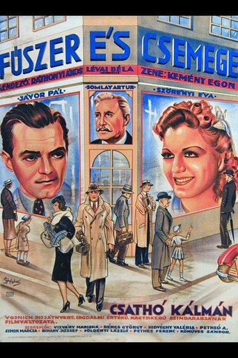 Movie poster for Fűszer és csemege (1940)