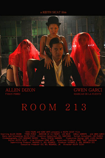 Room 213 poster
