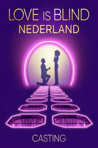 Love Is Blind: Netherlands poster