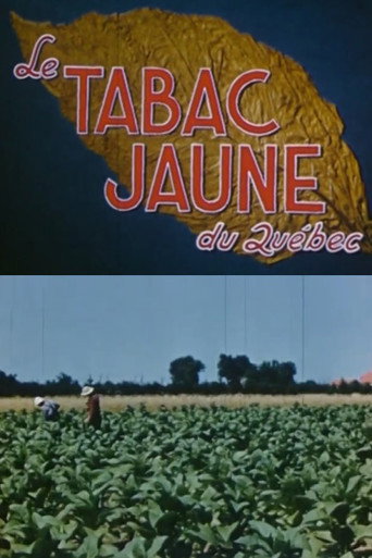 Movie poster for Yellow Tobacco from Quebec (1951)