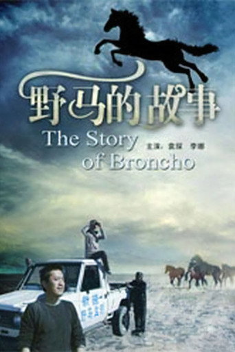 Movie poster for 野马的故事 (2011)