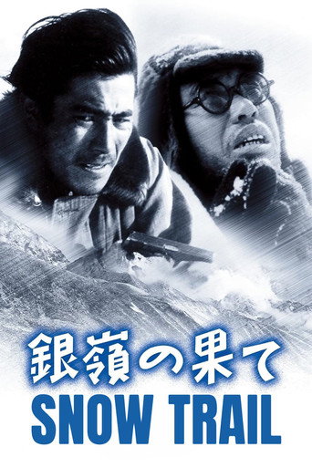 Movie poster for Snow Trail (1947)