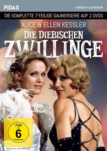 Die diebischen Zwillinge poster