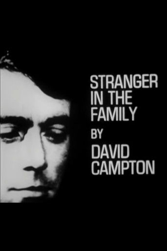 Stranger in the Family poster