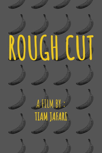 Movie poster for Rough Cut (2025)
