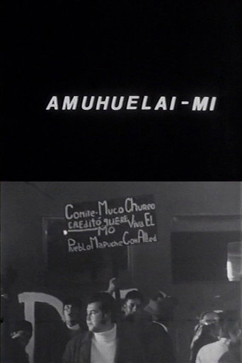 Movie poster for Amuhuelai-mi (1971)