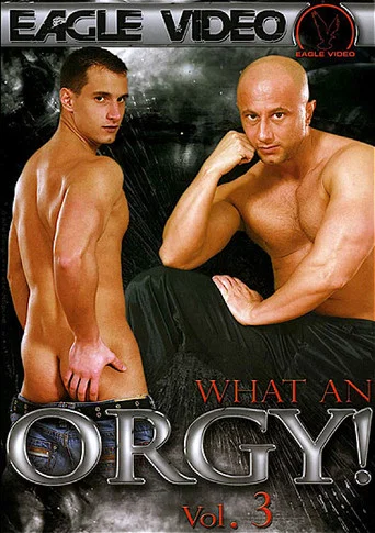 Movie poster for What an Orgy! 3 (2010)