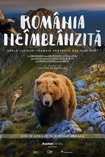 Movie poster for Divoké Rumunsko (2018)