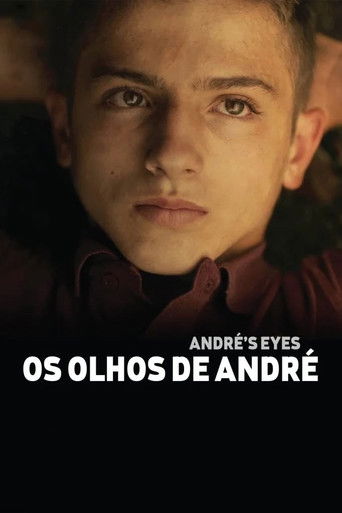 André's Eyes poster