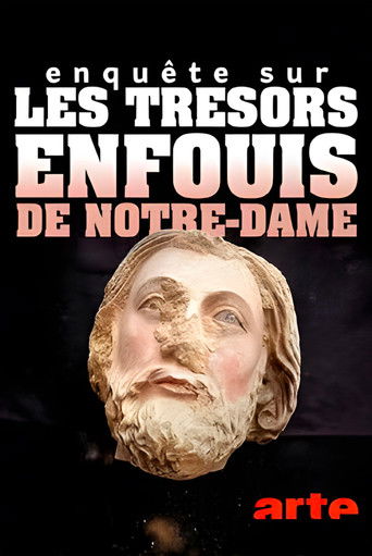 Enquête sur les trésors enfouis de Notre-Dame de Paris poster