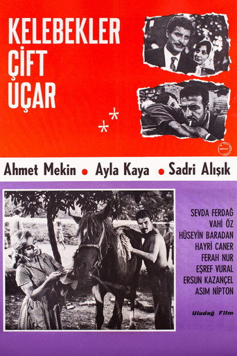 Movie poster for Kelebekler Çift Uçar (1964)