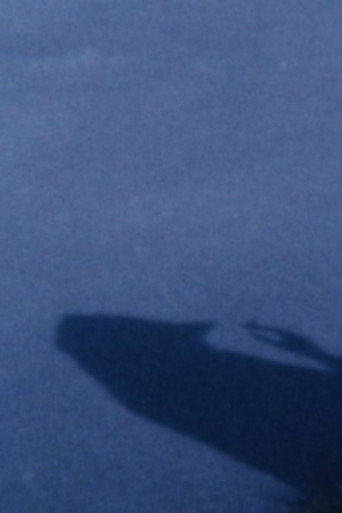 Movie poster for Their Bird (2012)