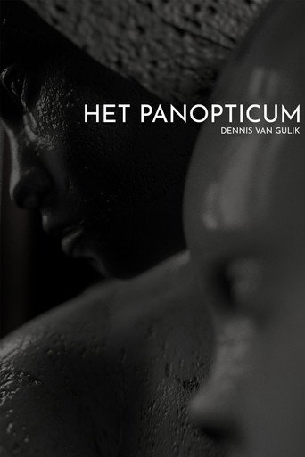 Movie poster for Het Panopticum (2018)