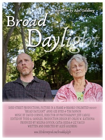 Movie poster for Broad Daylight (2024)