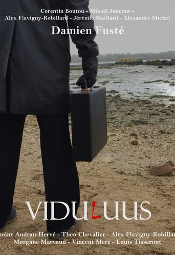 Movie poster for ViduLuus (2024)