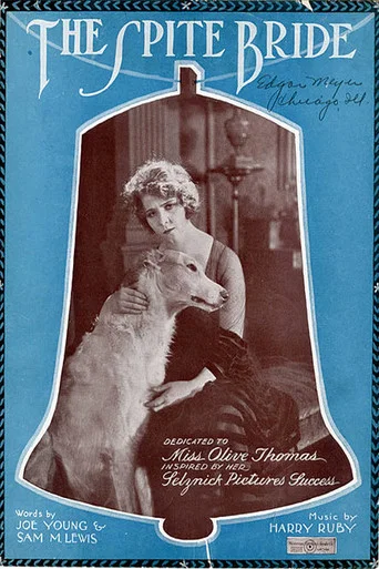 Movie poster for The Spite Bride (1919)