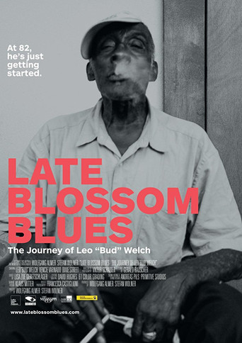Movie poster for Late Blossom Blues (2017)
