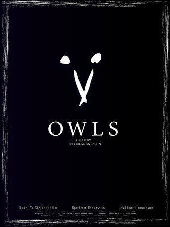 Movie poster for Owls (2021)