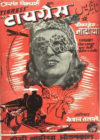 Movie poster for Tigress