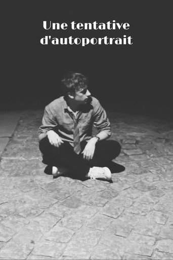 Movie poster for Une tentative d'autoportrait (2024)