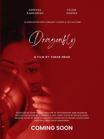 Movie poster for Dragonfly (2023)