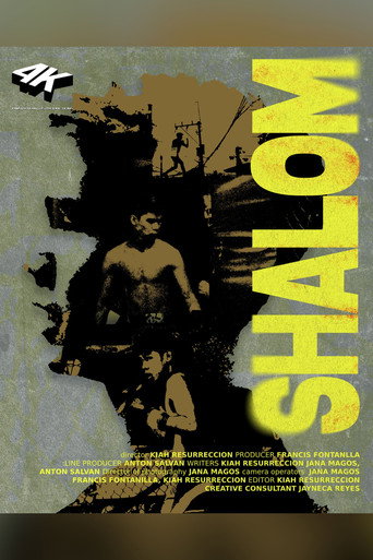 Movie poster for Shalom (2026)