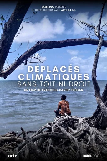 Movie poster for Climate Refugees: A Global Challenge (2024)