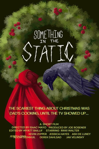 Movie poster for Something in the Static (2024)