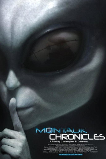 Movie poster for Montauk Chronicles (2015)
