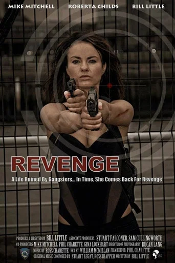 Movie poster for Revenge (2011)