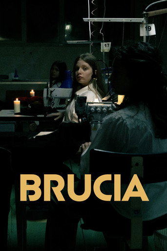 Movie poster for Brucia (2024)