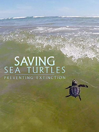 Movie poster for Saving Sea Turtles: Preventing Extinction
