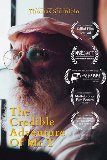 The Credible Adventures of Mr. T poster