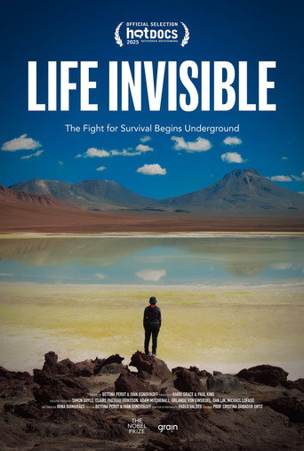 Movie poster for Life Invisible (2025)