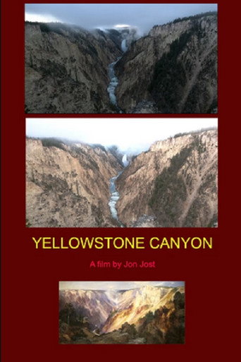 Movie poster for Yellow Stone Canyon (2019)