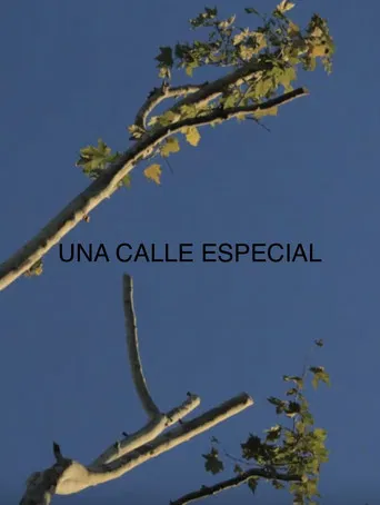 Una Calle Especial poster