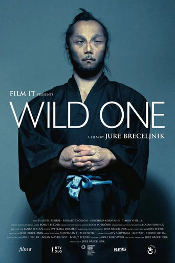 Movie poster for Wild One (2012)
