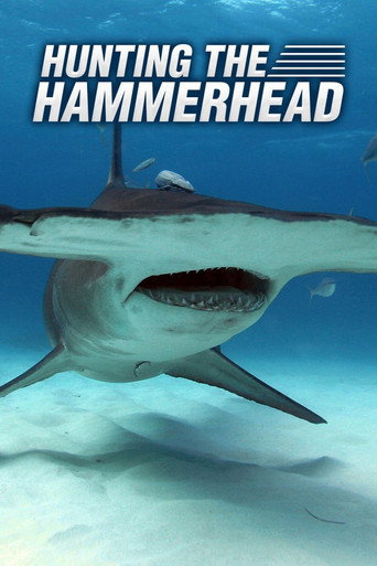 Movie poster for Hunting the Hammerhead (2016)