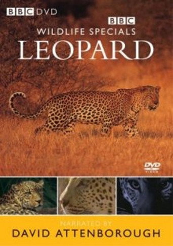 Movie poster for Leopard: The Agent of Darkness (1997)