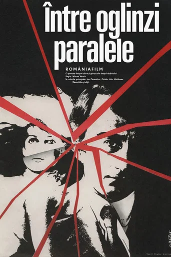 Movie poster for Between parallel mirrors (1979)