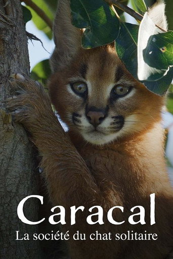 Movie poster for Caracal: The Lone Cat Society (2024)