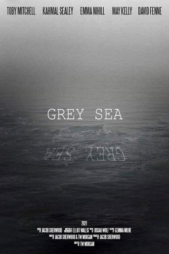 Movie poster for Grey Sea (2021)