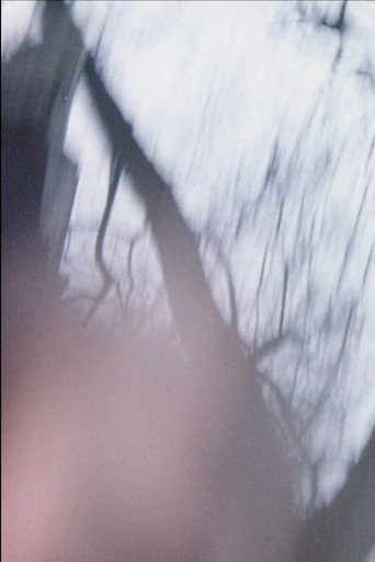 Movie poster for Sensitométrie IV (1976)