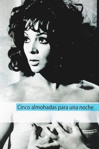 Five Pillows for One Night poster