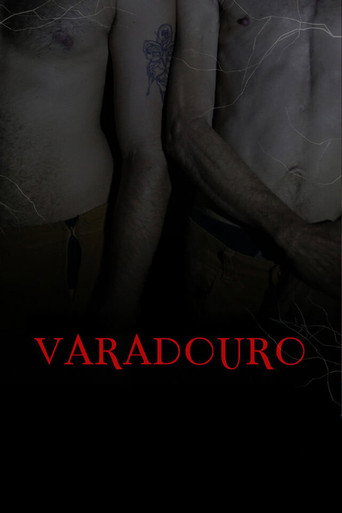 Movie poster for Varadouro (2025)