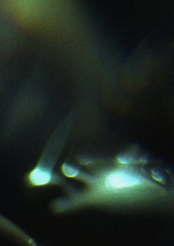 Movie poster for Prisms (2012)