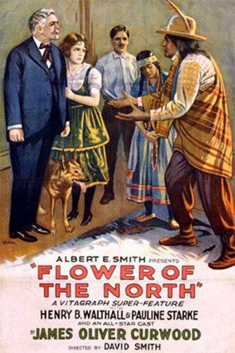Movie poster for Flower of the North (1921)